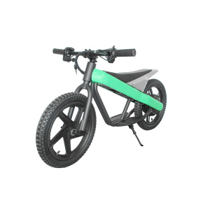 16eDrive Brushless Stability Cycle with Lithium Battery