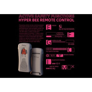 surron-hyper-bee-remote-300x300