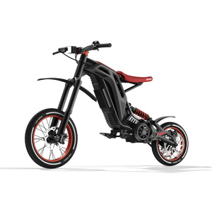Titan One Sport Electric Bike 60v