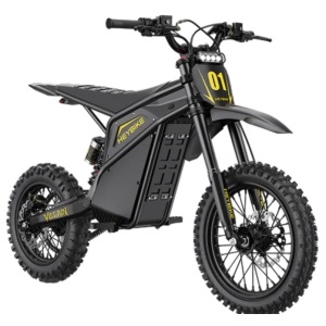 Heybike Villain Electric Dirt Bike