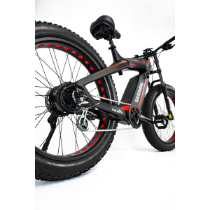 Carbon e-bike back bottom