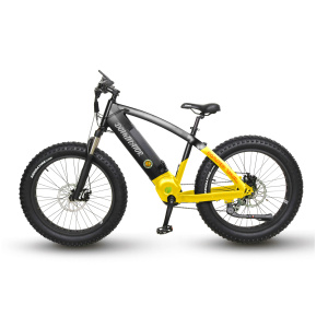 Dominator Q76 Electric Bicycle