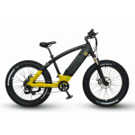 Excellent Q79 Electric Bicycle
