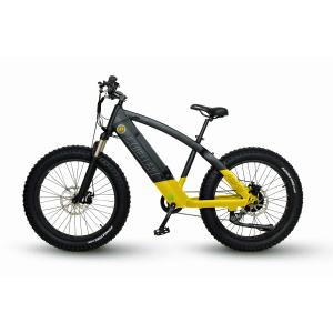 Excellent Q79 Electric Bicycle