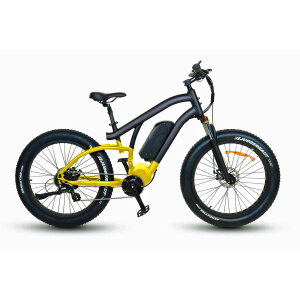 Excellent Q79 Electric Bicycle