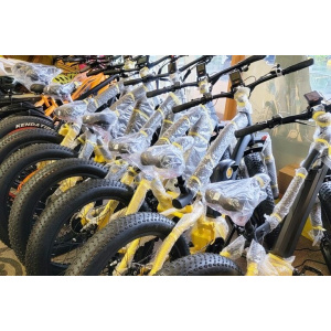Segway Maui Electric Bicycles on Sale