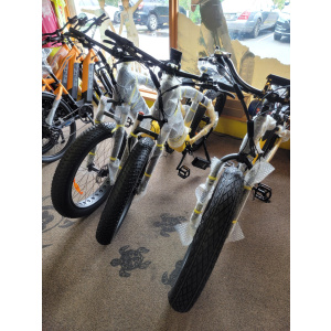 Segway Maui Electric Bicycles on Sale